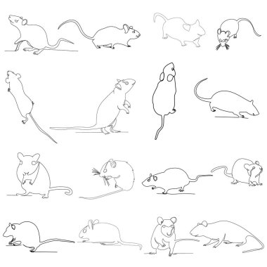 vektör, izole, tek bir çizgi ile çizim fare, fare, set