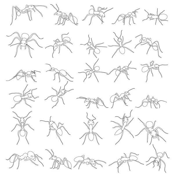蚂蚁爬行草图集 — 图库矢量图片