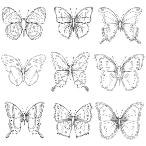 Vector Aislado Conjunto Bocetos Con Líneas Mariposa Colección — Archivo Imágenes Vectoriales