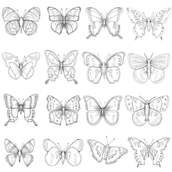 Vecteur Isolé Papillon Croquis Ensemble — Image vectorielle