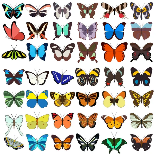 Izolált Beállított Pillangó Gyűjtemény Rovarok — Stock Vector