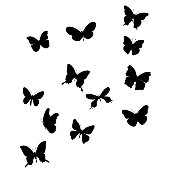Απομονωμένη Πεταλούδα Σιλουέτα Πετούν Φόντο — Διανυσματικό Αρχείο