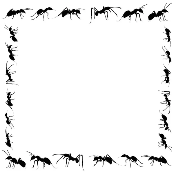 Rámec Vektorových Mravenců Bílém Pozadí — Stockový vektor