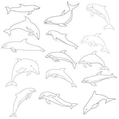 vektör, izole edilmiş, yunus çizgisi, çizgi, simge, set