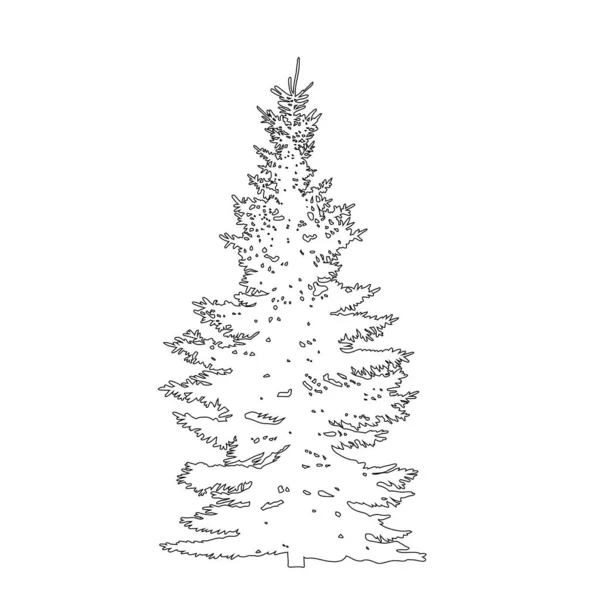 Esboço Vetorial Uma Árvore Natal — Vetor de Stock