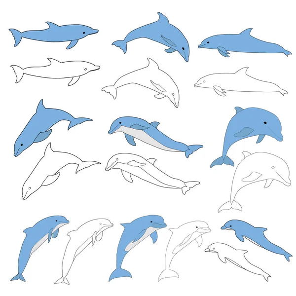Vector Aislado Delfín Azul Flota Libro Para Colorear Conjunto — Vector de stock