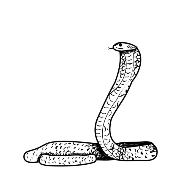 Boceto Serpiente Aislado Sobre Fondo Blanco — Archivo Imágenes Vectoriales
