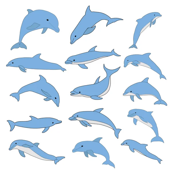 Vector Aislado Delfín Marino Azul Saltando Conjunto — Vector de stock