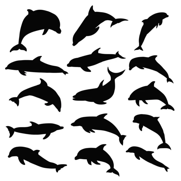 Vector Aislado Silueta Delfines Conjunto — Vector de stock