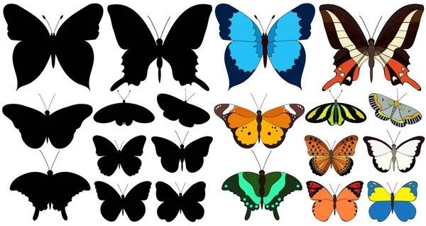 Set Von Schönen Bunten Schmetterlingen Und Silhouette — Stockvektor