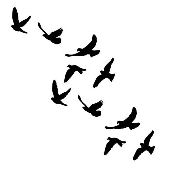 vector isolated silhouette of flocks of birds clipart