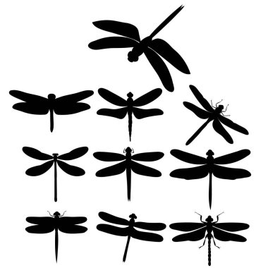 vektör, yusufçuk sinekleri, böcekler, siluetler.