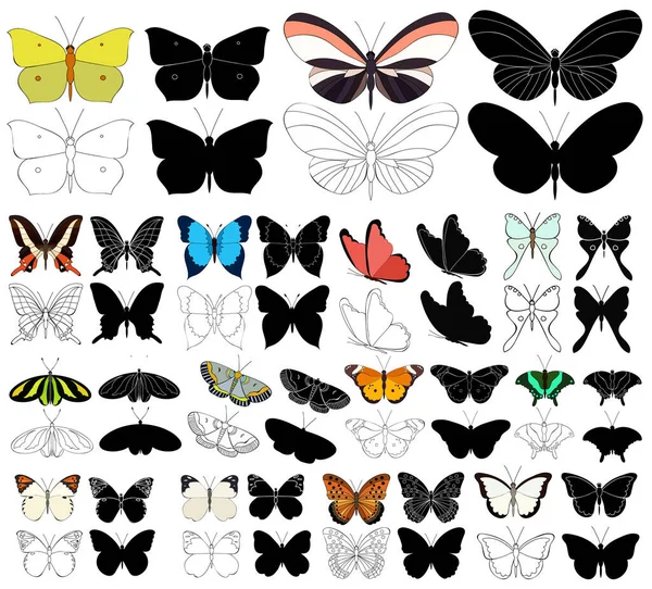Isoliert Eine Reihe Schöner Schmetterlinge Mit Skizze Und Schwarzer Silhouette — Stockvektor