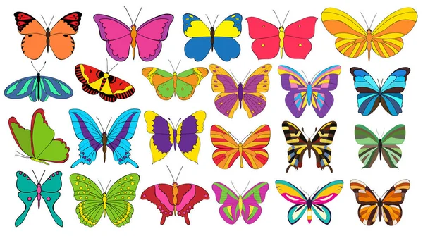 Isoliert Eine Reihe Von Schönen Bunten Schmetterlingen — Stockvektor