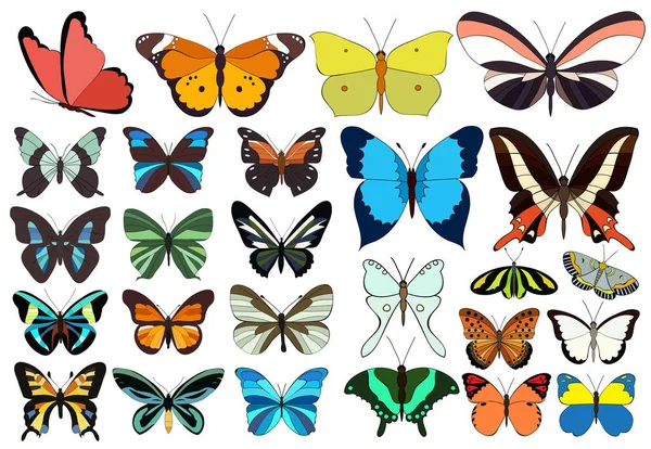 Vektor Isoliert Eine Reihe Von Schönen Bunten Schmetterlingen — Stockvektor