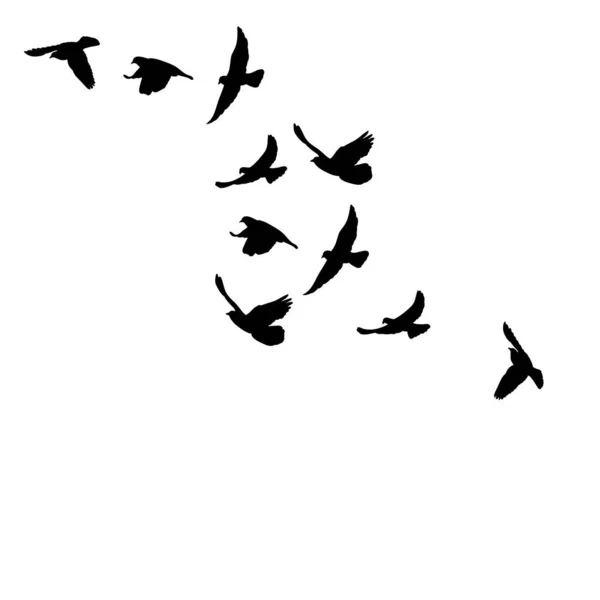 一群鸟儿在飞着轮廓 — 图库矢量图片