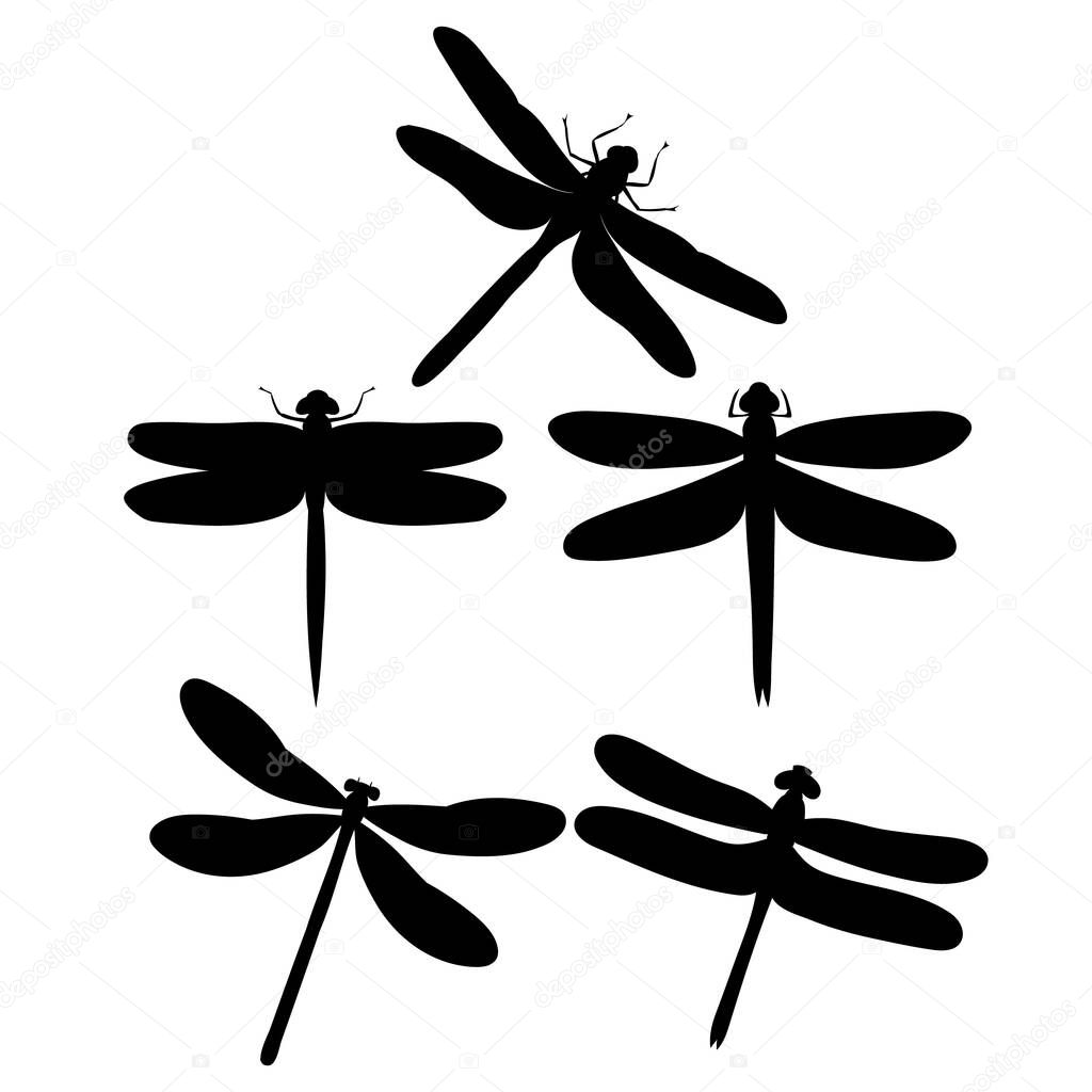 isolated, dragonfly flies, insect, set of silhouettes