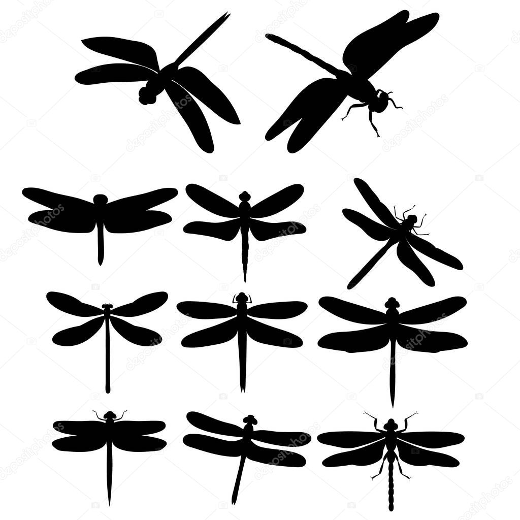 set, silhouette of a  dragonfly