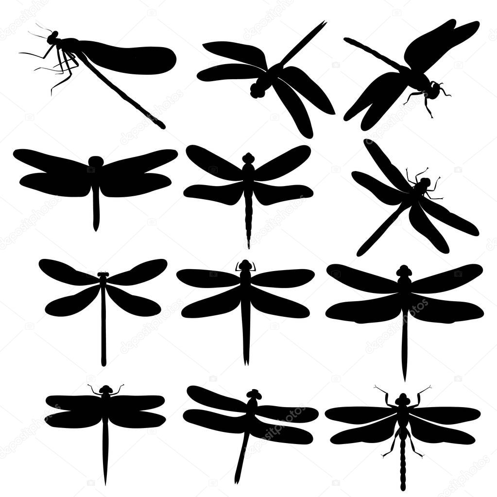 silhouette of flying dragonflies, on white background, set