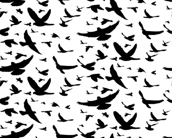 Vetor Fundo Abstrato Silhueta Preta Aves Voadoras Sem Costura — Vetor de Stock