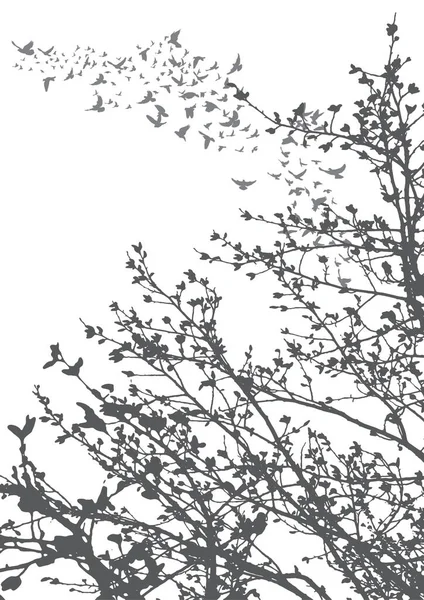 Vektor Illustration Siluett Flygande Fåglar Och Trädgrenar — Stock vektor