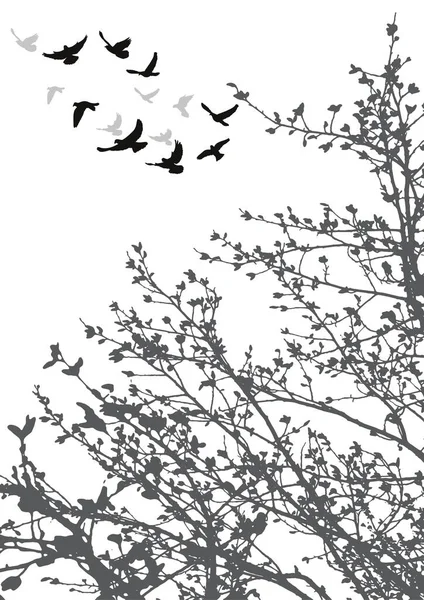 Uçan kuşların ve ağaç dallarının silueti