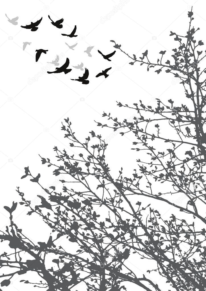 silhouette of flying birds and tree branches