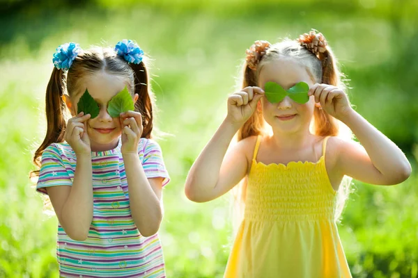 Duas Meninas Bonitas Verão Parque Com Folhas Nas Mãos — Fotografia de Stock