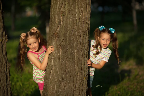 在公园里的夏天 两个小漂亮的女孩躲在树后 — 图库照片