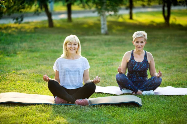 Две Взрослые Женщины Возрасте Йоги Открытом Воздухе Летом Парке — стоковое фото