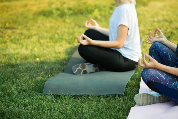 iki yetişkin kadın yoga açık havada yaz parkta yaşlı