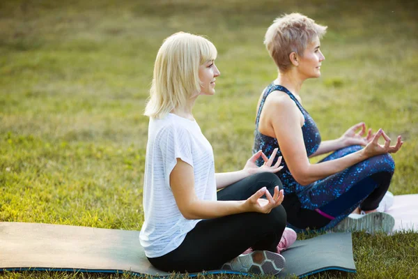 Duas Mulheres Adultas Entrar Para Esportes Ginástica Verão Rua Parque — Fotografia de Stock