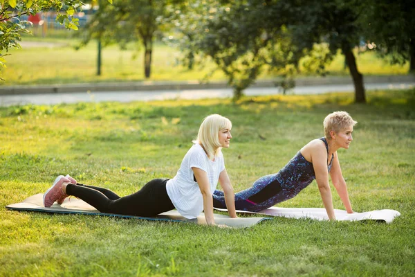 Duas Mulheres Adultas Entrar Para Esportes Ginástica Verão Rua Parque — Fotografia de Stock