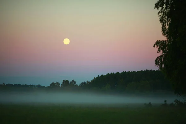 Schöne Morgenlandschaft Der Sommerlichen Natur Mit Nebel Und Mond — Stockfoto