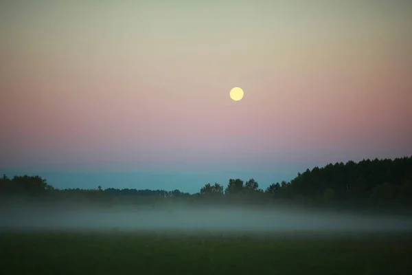 Schöne Morgenlandschaft Der Sommerlichen Natur Mit Nebel Und Mond — Stockfoto