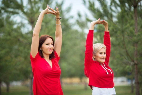 Twee Volwassen Vrouwen Sportkleding Doen Oefeningen Het Park Zomer — Stockfoto