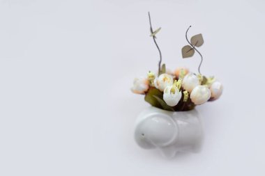  Beyaz arka planda güzel beyaz çiçekler.