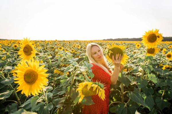 Vacker Ung Kvinna Röd Klänning Ett Fält Med Solrosor — Stockfoto