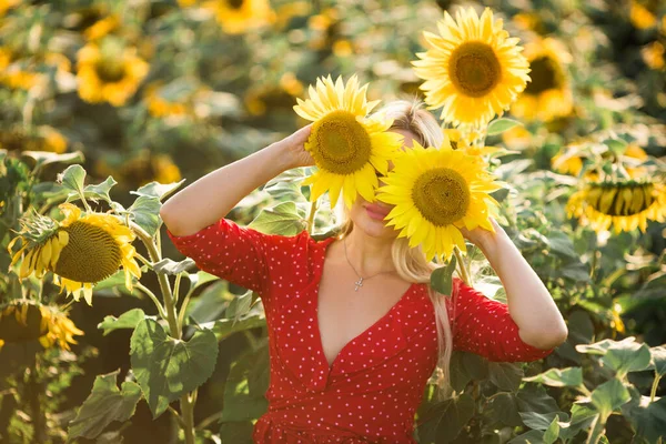 Hermosa Joven Hembra Vestido Rojo Campo Con Girasoles — Foto de Stock