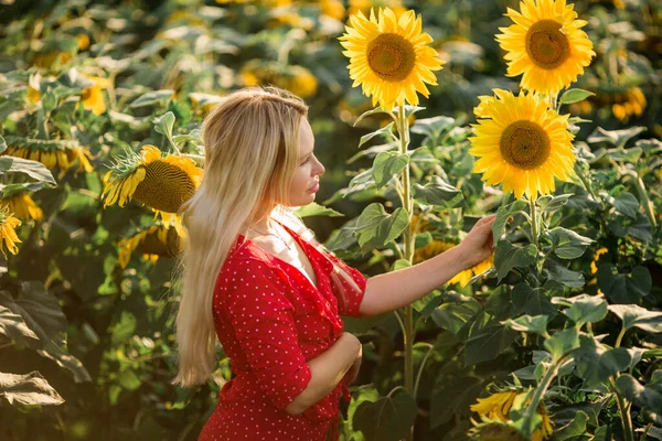 Красива Молода Жінка Червоній Сукні Полі Соняшниками — стокове фото
