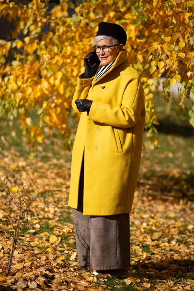 Volwassen Vrouw Met Bril Het Park Herfst Met Een Mobiele — Stockfoto