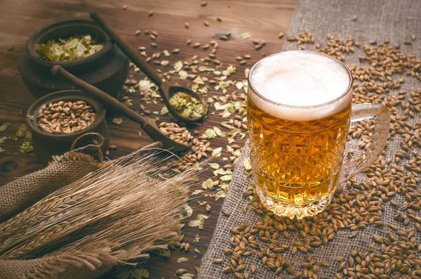 Bière Mousse Froide Avec Grain Malt Feuilles Houblon Vert Dans — Photo