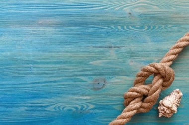 Yaz tatil arka plan kopya alanı ile. Deniz ipe düğüm ve mavi ahşap masa arka plan üzerinde deniz kabuğu.