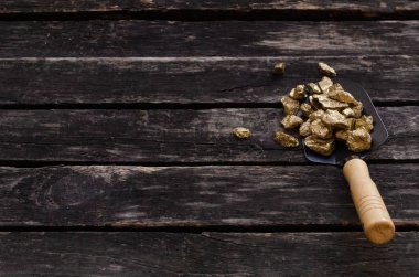 Altın cevheri nuggets kürek eski maceraperest tablo içinde. Goldminer hazine avcısı kavramı.