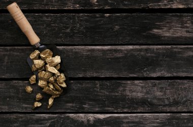 Altın cevheri nuggets kürek eski maceraperest tablo içinde. Goldminer hazine avcısı kavramı.