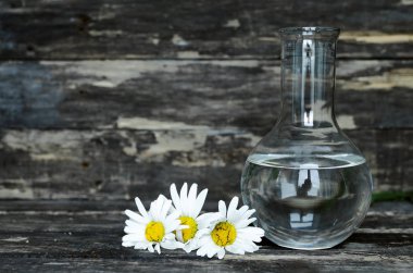 Papatya çiçek esans. Naturopathy. Bitkisel ilaç.