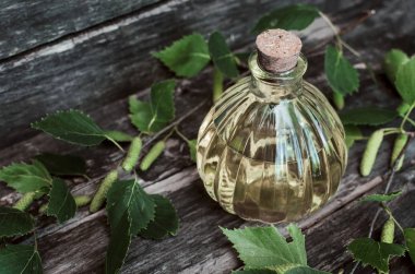 Huş ağacı esansiyel yağ. Alternatif Tıp. Naturopathy.