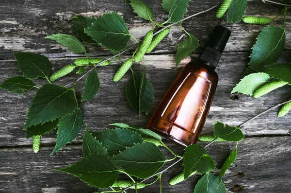 Birch Tree Essential Oil Alternative Medicine Naturopathy — Stock Photo, Image