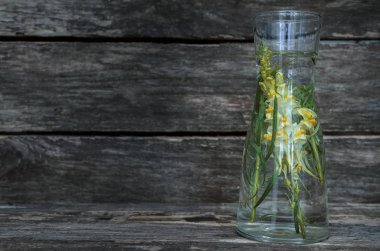 Aslanağzı çiçeği esans, ahşap arka plan üzerinde. Bitkisel ilaç. Naturopathy.