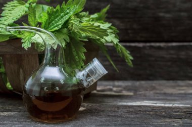 Isırgan otu esans. Naturopathy. Bitkisel ilaç.